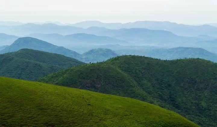 What is the Highest Mountain in Nigeria?