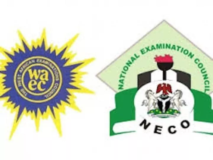 Banning under-18 from WAEC, NECO will limit potential of Nigerian children - Olota