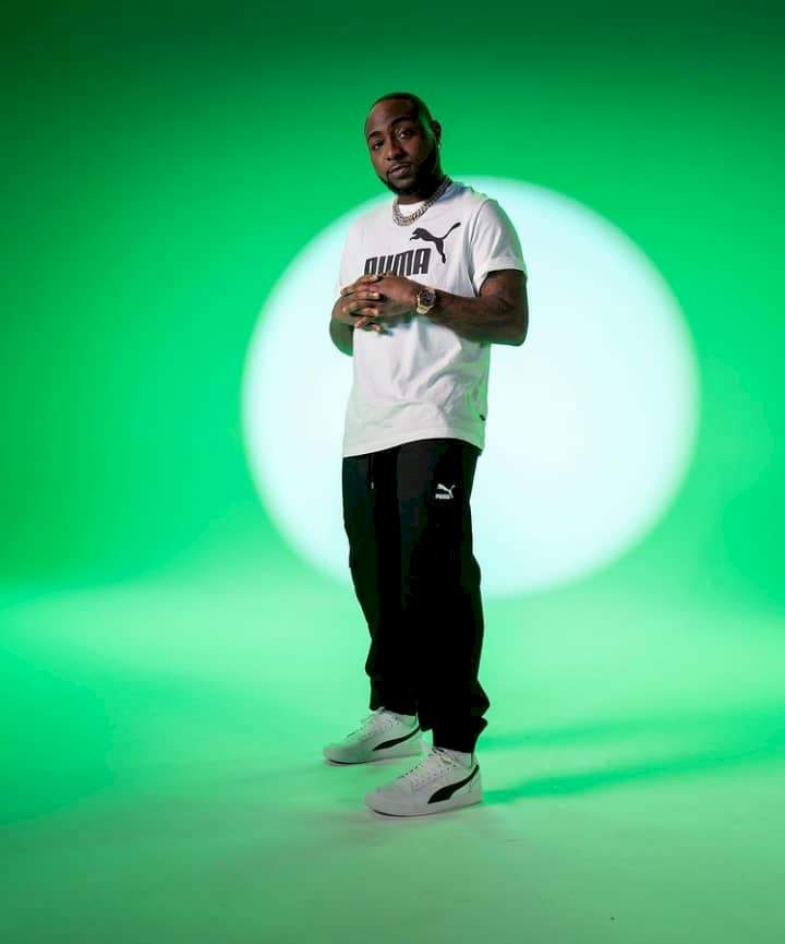 "I go comot for this stage oo" - Davido lashes out at fan who brought dog to his concert (Video)