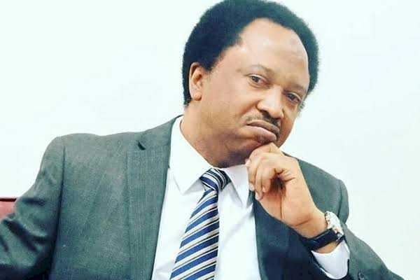 "It's better to hustle with ASUU than war and racism; stay at home and get into Fed and State Universities" - Shehu Sani tells those dying to go study overseas