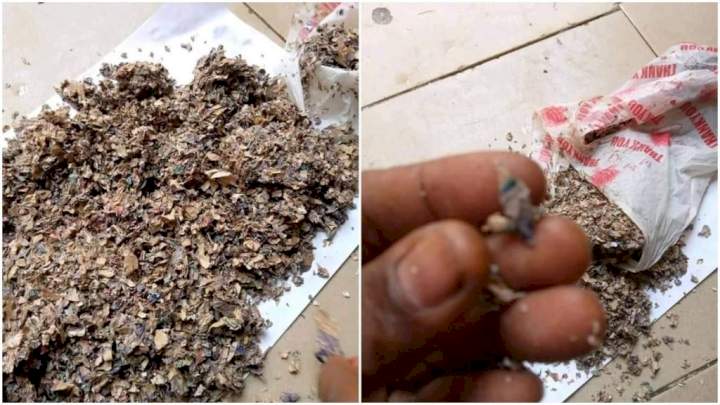 Decayed foreign currencies allegedly recovered at customs officer's house in Kano (Photos)