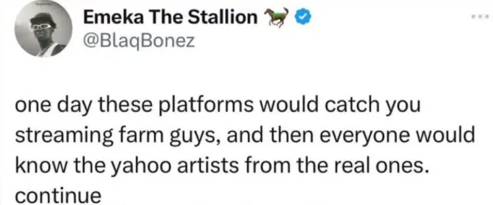 One day these platforms would catch you streaming farm guys - Blaqbonez writes