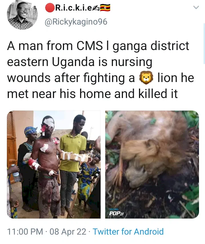 Reactions as man single-handedly fights; kills lion in fierce battle (Photos)