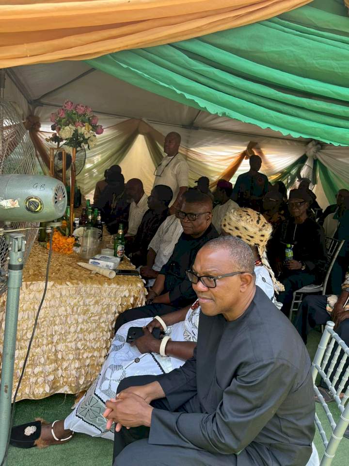 Photos from Peter Obi's daughter's wedding