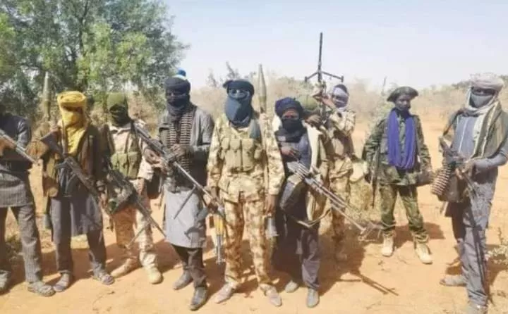 How bandits terrorising Abuja hide in Kaduna forest abandoned by military
