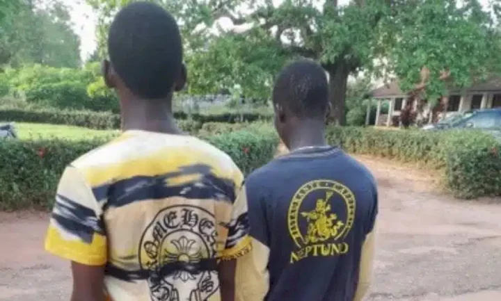 Herbalist reports teenagers to police following request to do money ritual with their body parts