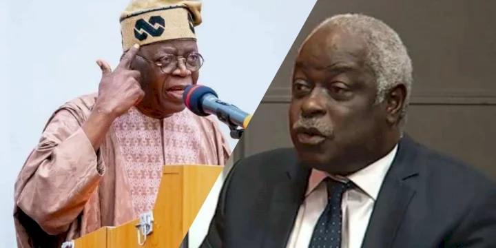 2023: Tinubu accused of committing perjury following his submitted affidavit to INEC