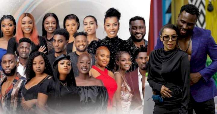 BBNaija: See how the wildcards nominated other housemates for eviction