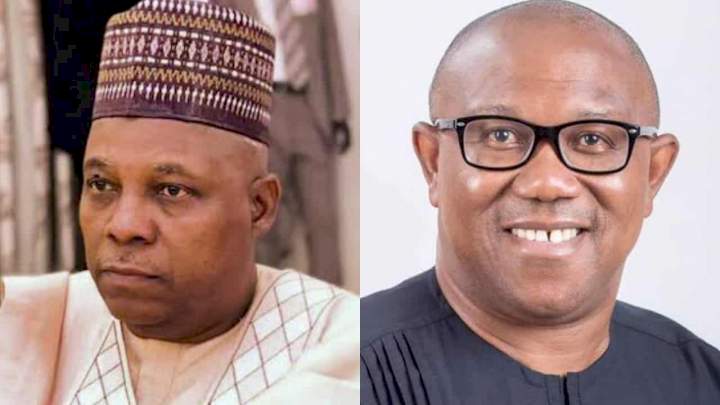 "Peter Obi can only become President in Igboland, not in Nigeria" - Kashim Shettima blows hot