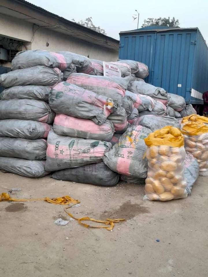 Two drug kingpins arrested as NDLEA busts Tramadol cartel in Lagos, seizes opioids worth over N5billion 