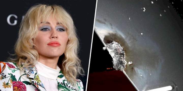 Plane carrying popular musician, Miley Cyrus, family, friends, struck by lightning