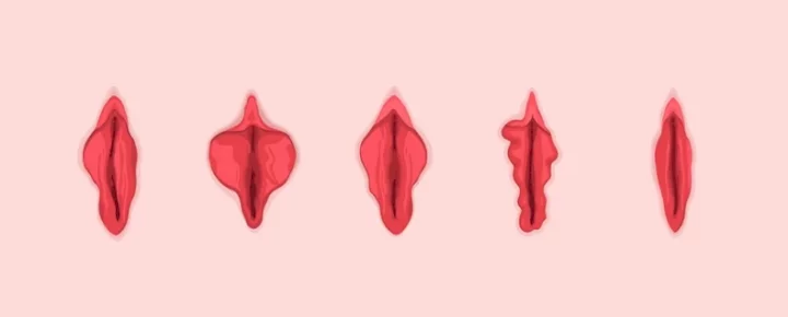 The 7 different types of vaginas