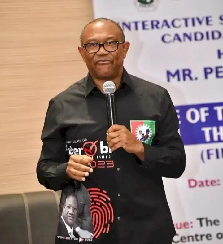 What I will do if Peter Obi wins presidential election - BBNaija's Princess