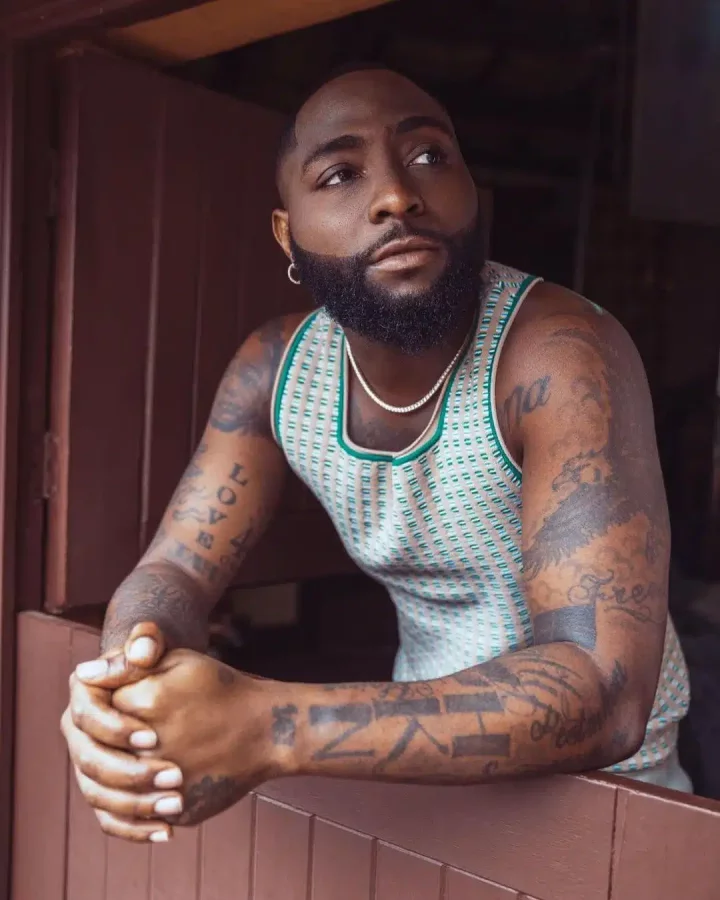 Excited Davido jumps into crowd during New York Concert (Video)