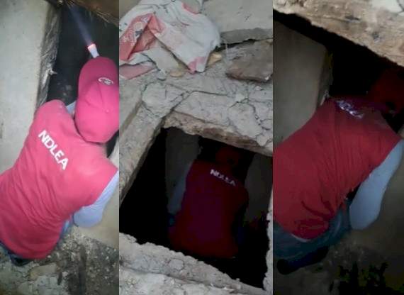 NDLEA uncovers underground drug bunk used by suspected drug kingpin to store banned substances in Delta  (video)