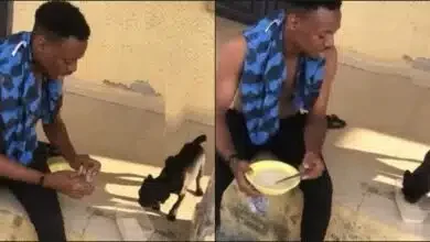 Struggling man appreciates his dog for being understanding and drinking 'garri' with him (Video)