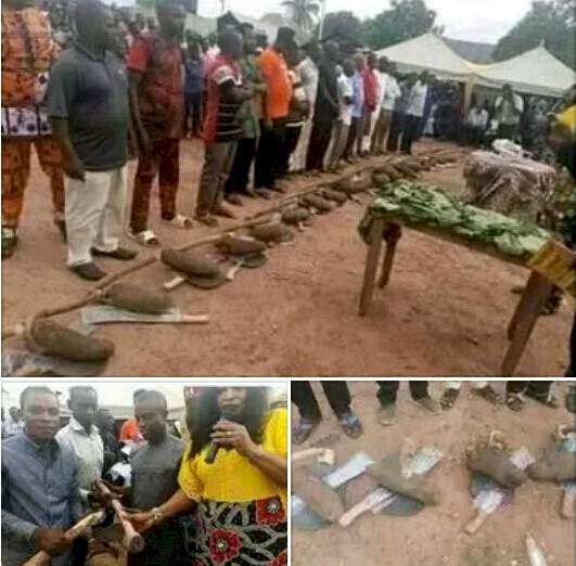 'Who have we offended in this country?' - Mixed reactions as Cross River LG chairman empowers constituents each with one tuber of yam, hoe and cutlass