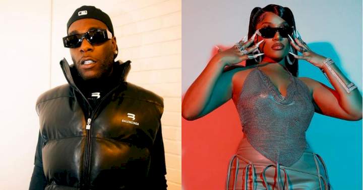 Burna Boy allegedly ditches Stefflon Don for popular American model