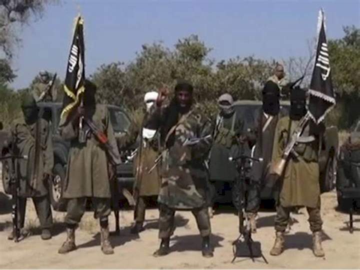 20 Boko Haram members who surrendered die of Cholera