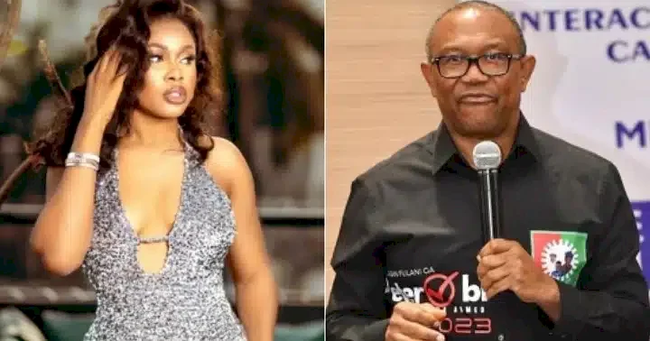 What I will do if Peter Obi wins presidential election - BBNaija's Princess