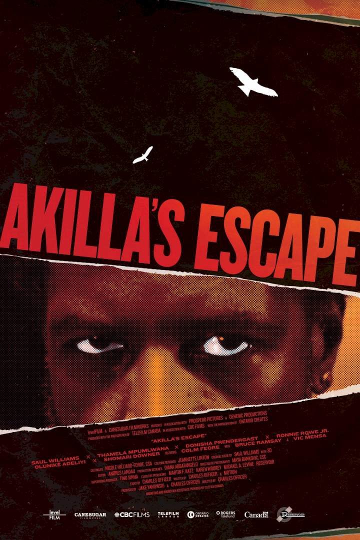 Akilla's Escape Subtitles (2020)