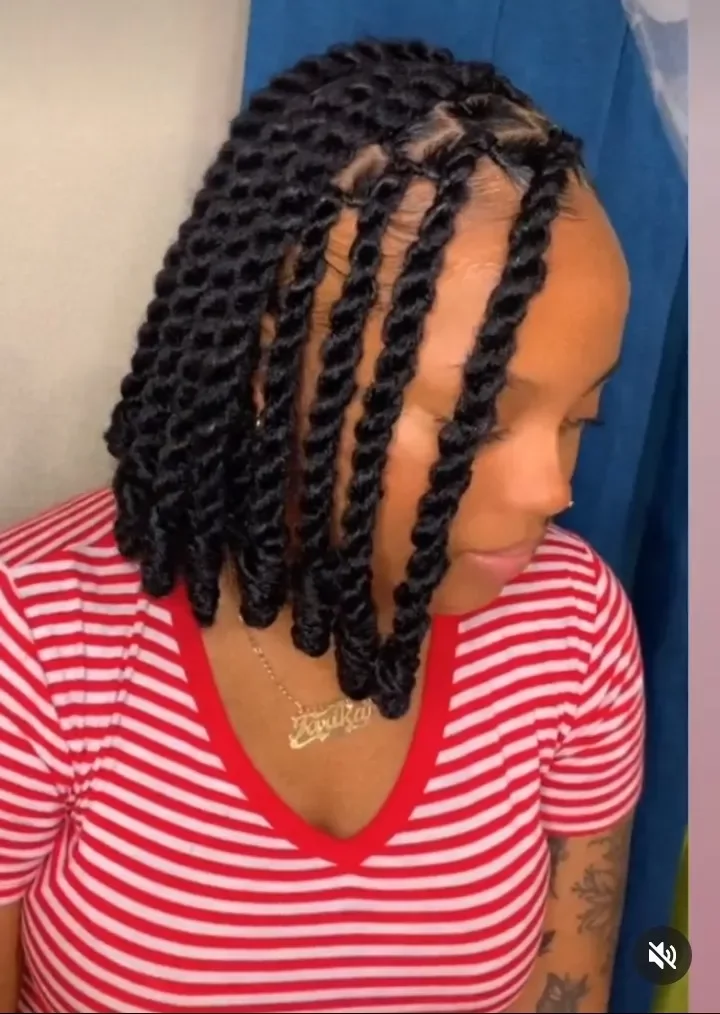 25+stunning twisted box braids hairstyles you should consider.