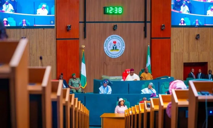 BREAKING: Reps pass bill to reserve 74 seats for women in National Assembly