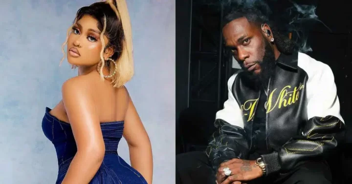 "Him no know you" - Netizens ridicule Phyna as she makes financial appeal to Burna Boy