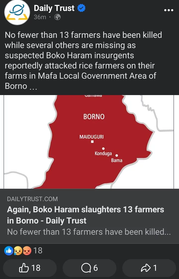 Today's Headlines: Boko Haram Slaughters 13 Farmers in Borno, IG redeploys Imo CP to FHQ