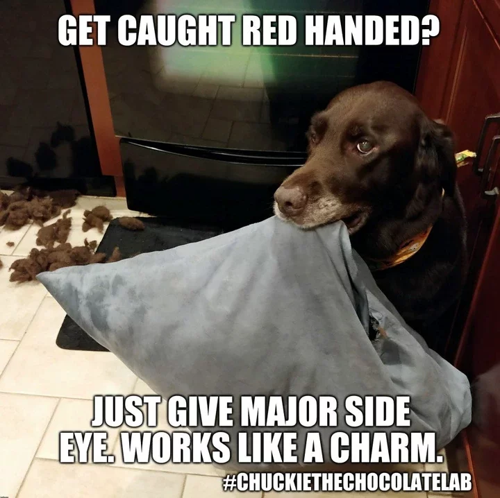 Caught red-handed