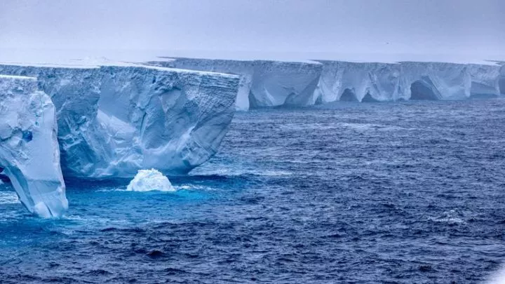 MANDATORY CREDIT<br />Pic: Rob Suisted/naturespic.com/Reuters