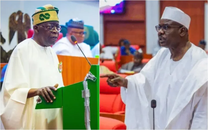 President Bola Tinubu and Senator Ali Ndume.