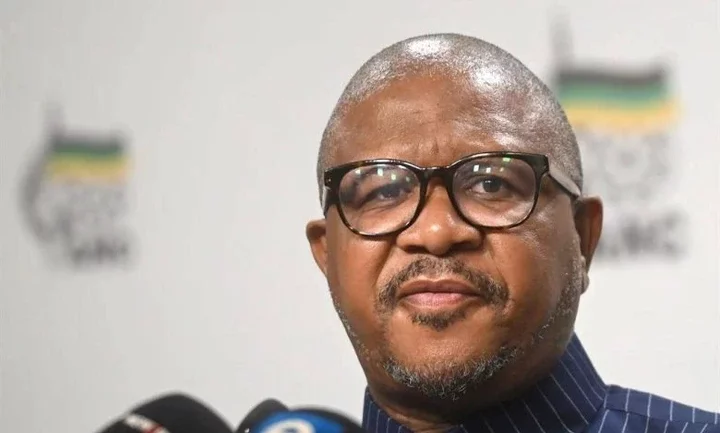 "South Africa not a playground for lawlessness" - ANC reacts to new visa policy for Nigerians