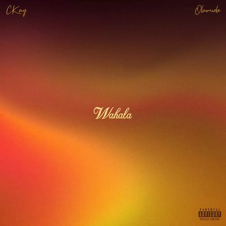 CKay - Wahala (feat. Olamide)