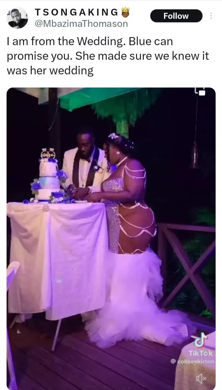 Bride goes viral because of her wedding dress (video)