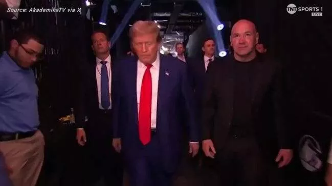 Donald Trump gets standing ovation at UFC tournament days after being convicted of crimes (video)