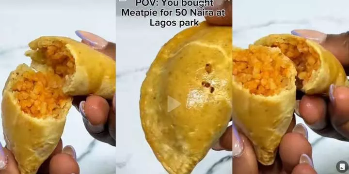 Nigerian lady expresses shock as she finds jollof rice inside ₦50 meat pie purchased in Lagos park