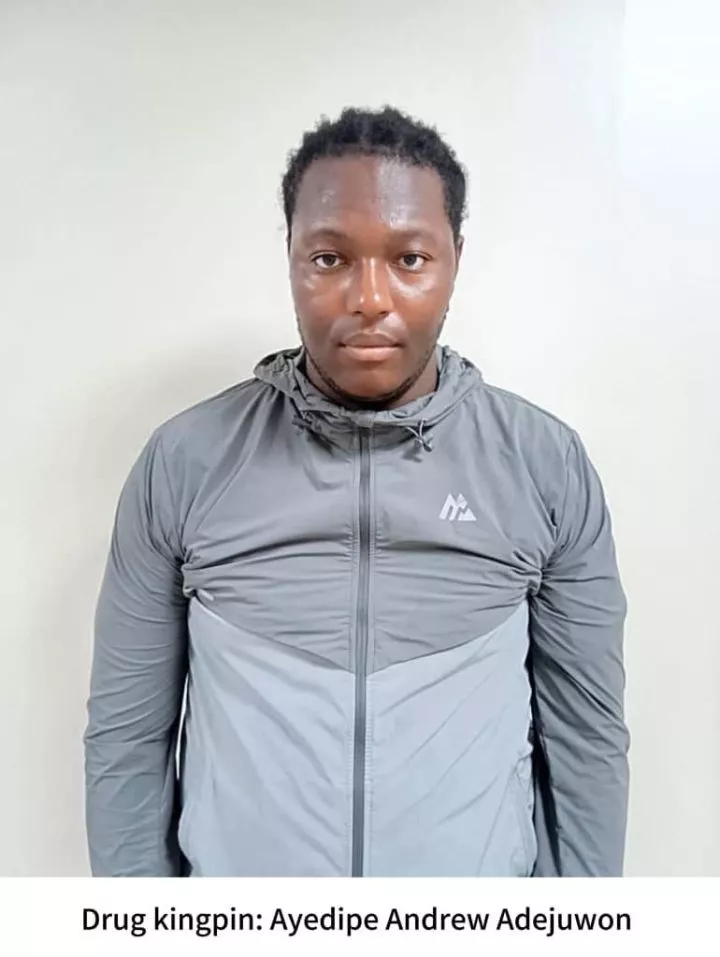 NDLEA Intercepts N6.5bn Opioids In Lagos, Rivers Ports, Arrests Two British Nationals (Photos)