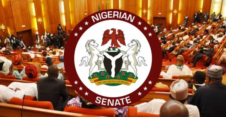 Senate approves Tinubu's request of $500m loan for BPE