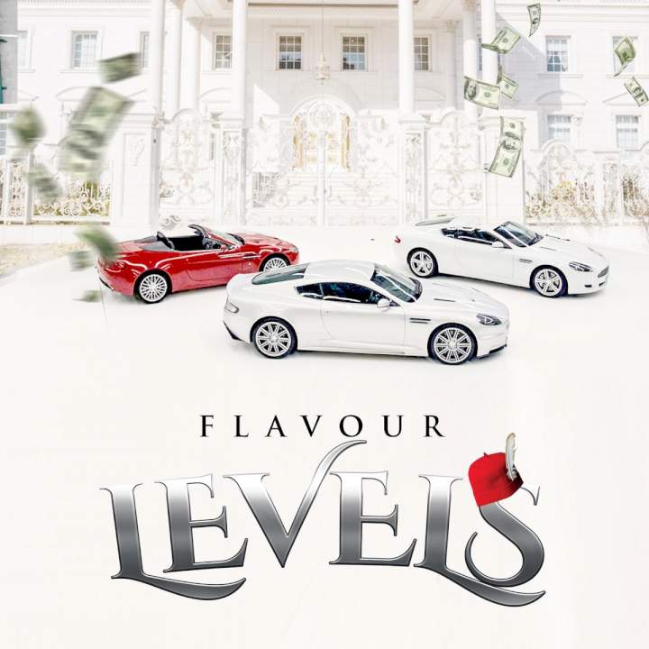 Flavour - Levels