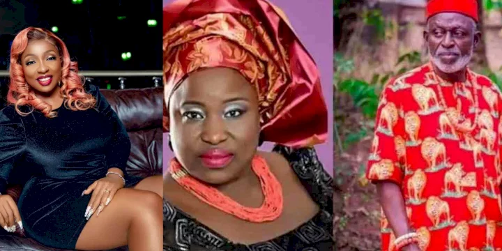 Anita Joseph ruthlessly berated netizens for making insensitive comments after Cynthia Okereke and Clemson Cornel were kidnapped