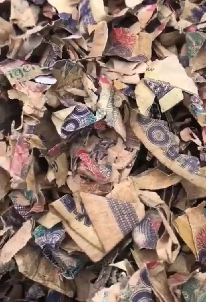 Nigerians angered after locating dumpsite of shredded old naira notes amidst scarcity of cash