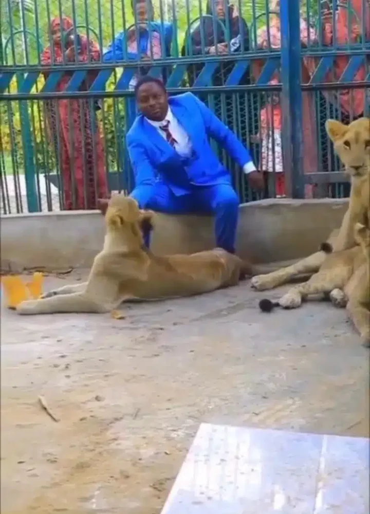 Pastor invites church member to watch him in lions' den and this happened (Video)