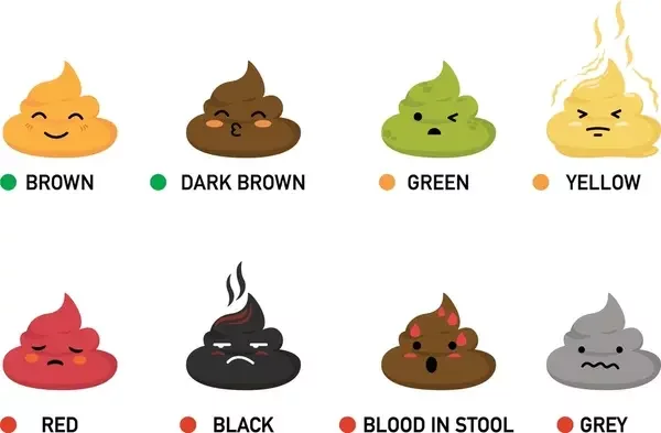 What the colour of your poop says about your health