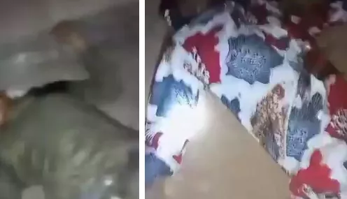 Youths are dying everyday in Benin - Man says as he shares video of two men killed in renewed cult war in Edo