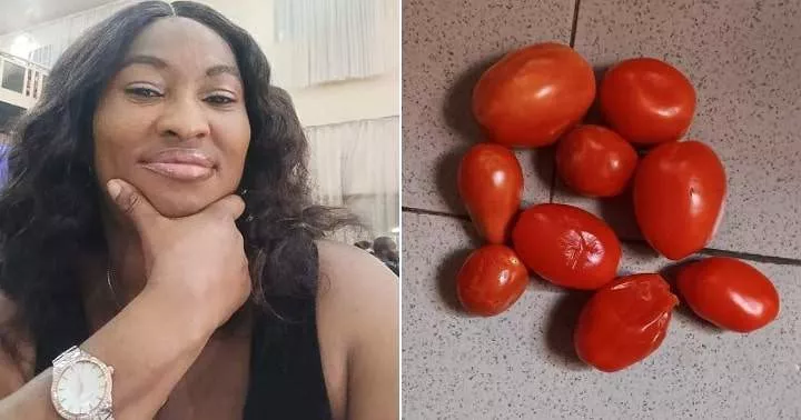 Nigerian lady posts photo of few tomatoes she bought for N1,500 at market