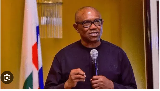 NNPC: This Government Must Take Responsibility For The Mess It Created - Peter Obi