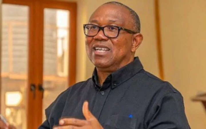 Peter Obi's fall from grace is baffling - Kogbara