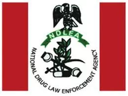 NDLEA Warns Against Dangerous New Drugs 'Suck & Die' and 'Rubber Solution'