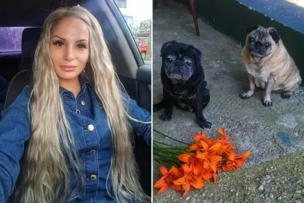 Tragic dog owner, 34, eaten by her pet pugs after dying in apartment (Photos)